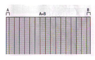 При вертикальной и горизонтальной обшивке выровняйте ширину пластин, расположенных по краям